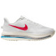 Nike Pegasus Premium Road W